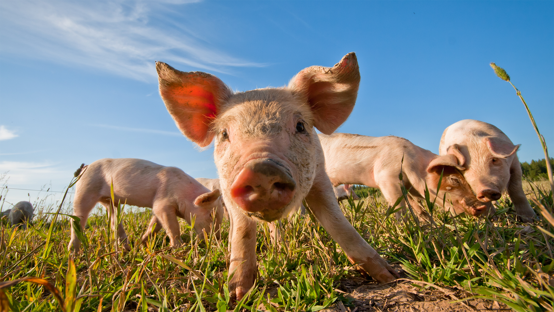 Campaign Photography